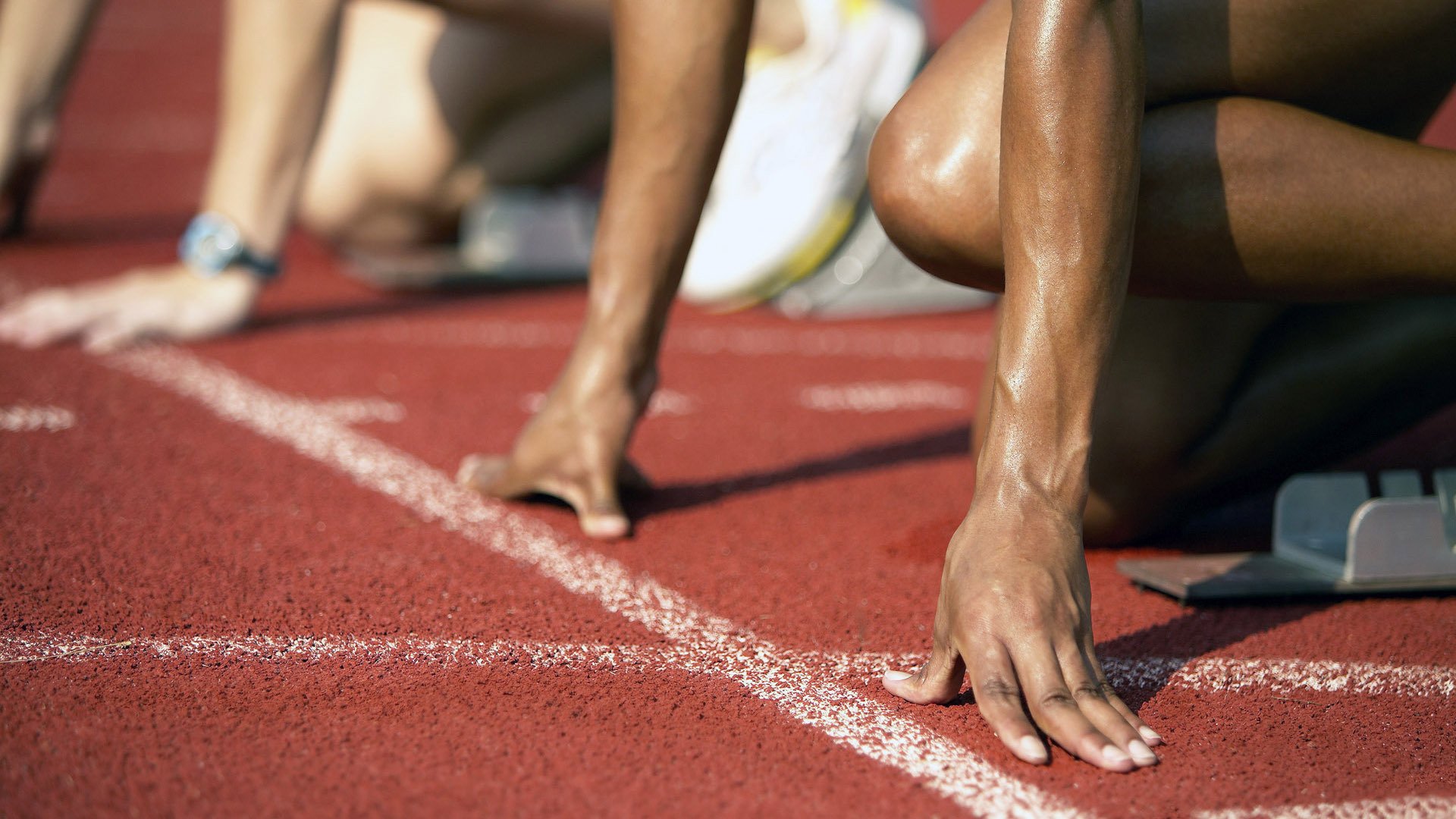 意大利马术协会与大学合作,开展马术运动营养研究,优化饮食方案。