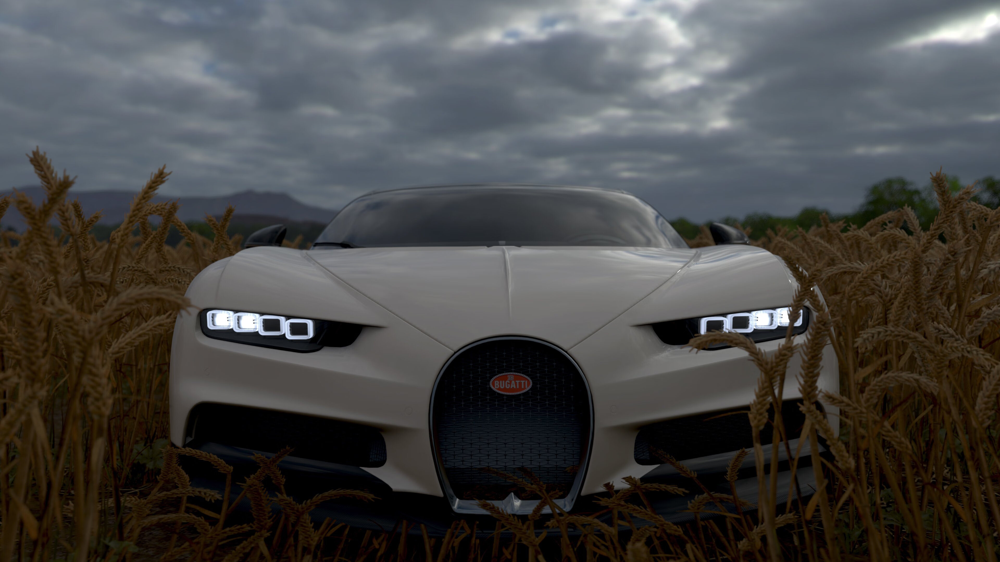 意大利马术协会与大学合作,开展马术运动营养研究,优化饮食方案。