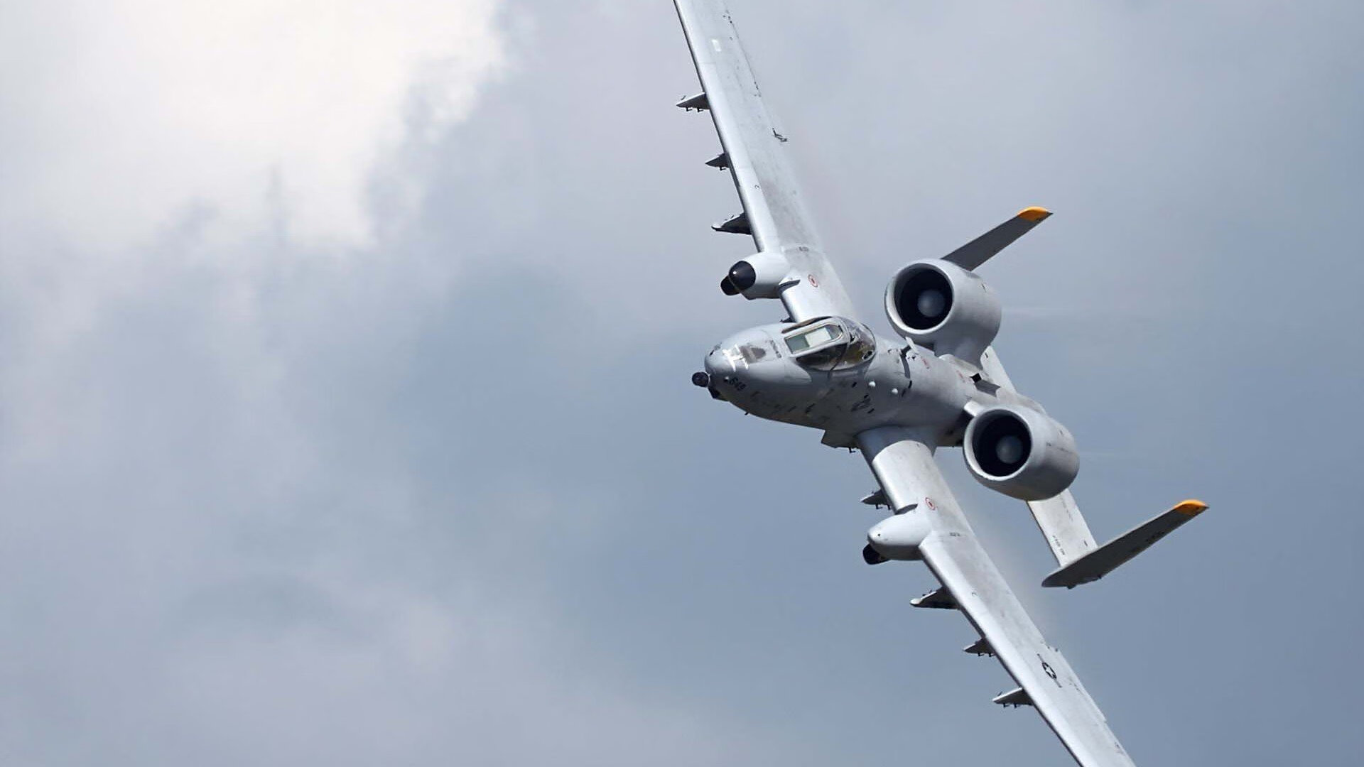 意大利马术协会与大学合作,开展马术运动营养研究,优化饮食方案。