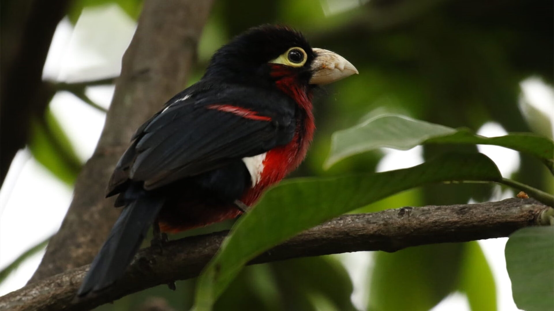 KAIYUNAPP-中国篮球名将与青少年交流活动持续火热，中国青年篮球队员