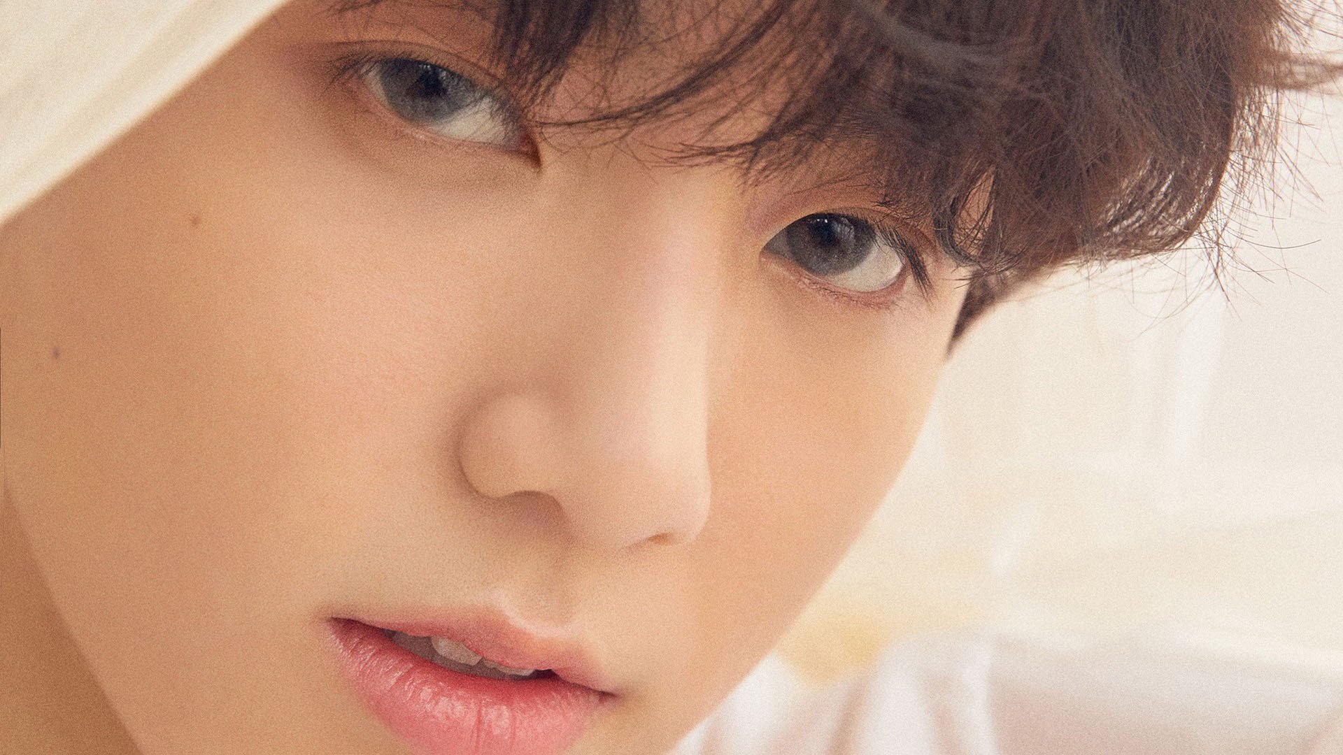 德甲：裁判争议引发热议，德甲场地